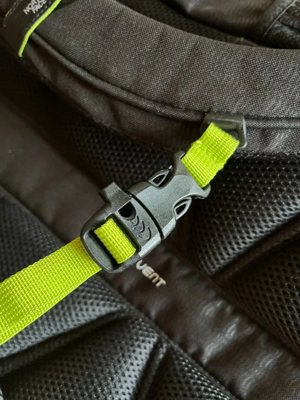 The North Face north face